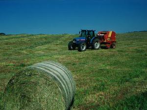 �����Ҿ��������ʡ��������ϡ�